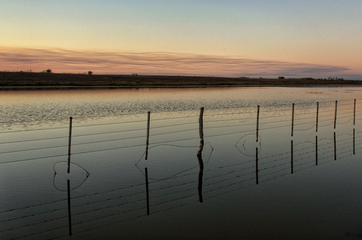 reflejos