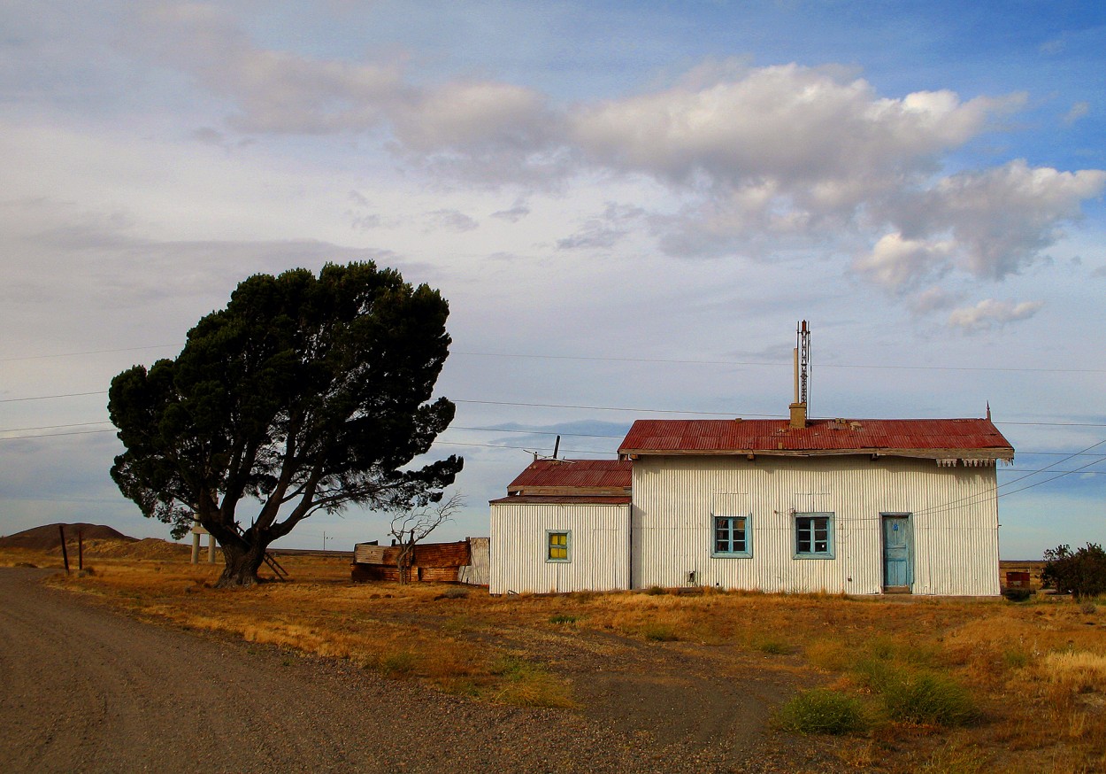 SOLEDAD PATAGNICA