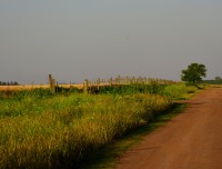 en el camino