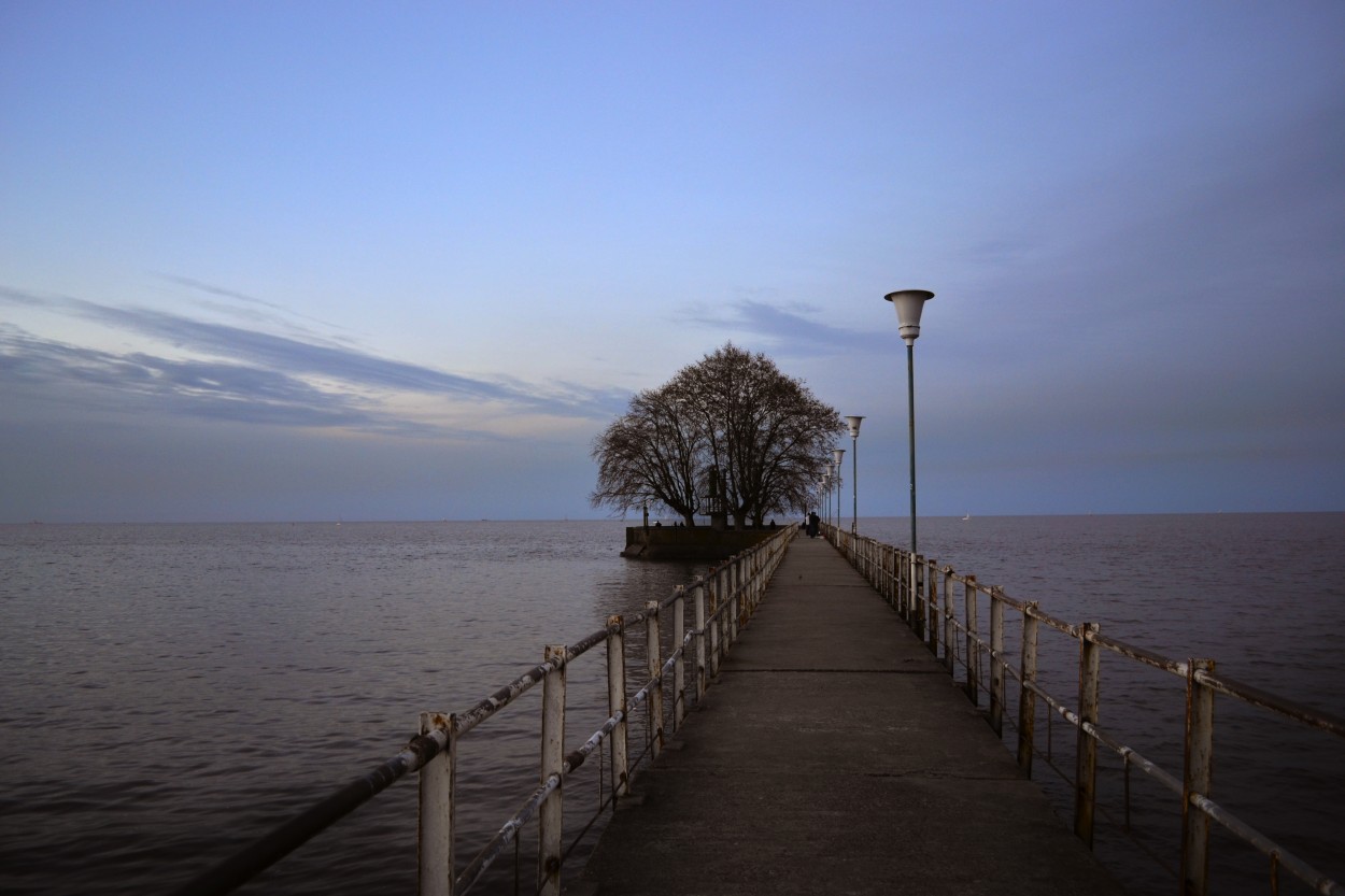 Muelle del rbol