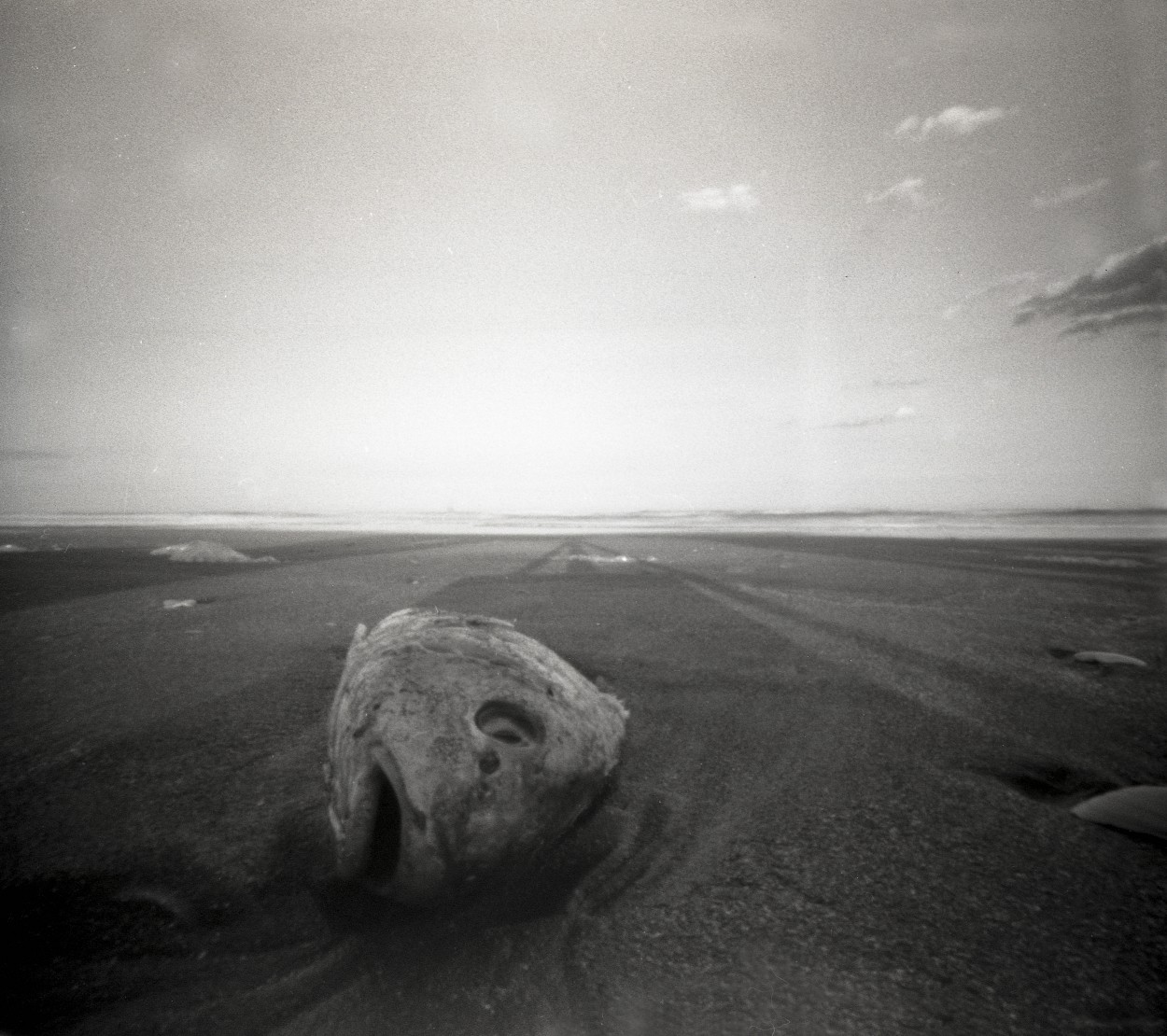 yermo-fotografia estenopeica