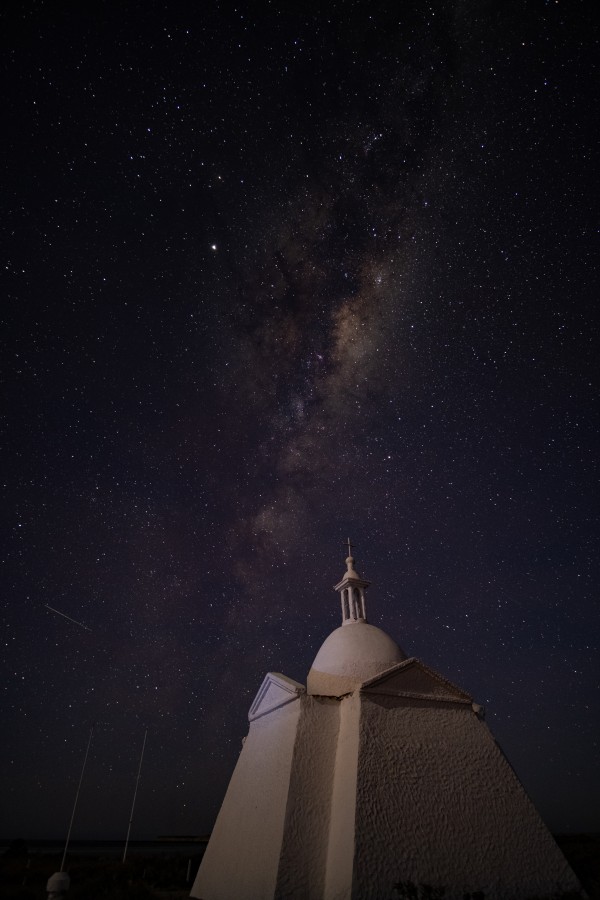 Galaxia patagnica