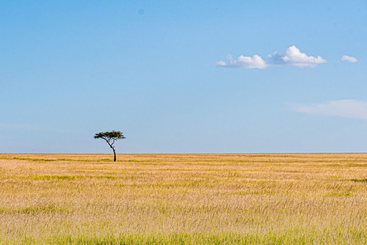 Sabana Africana