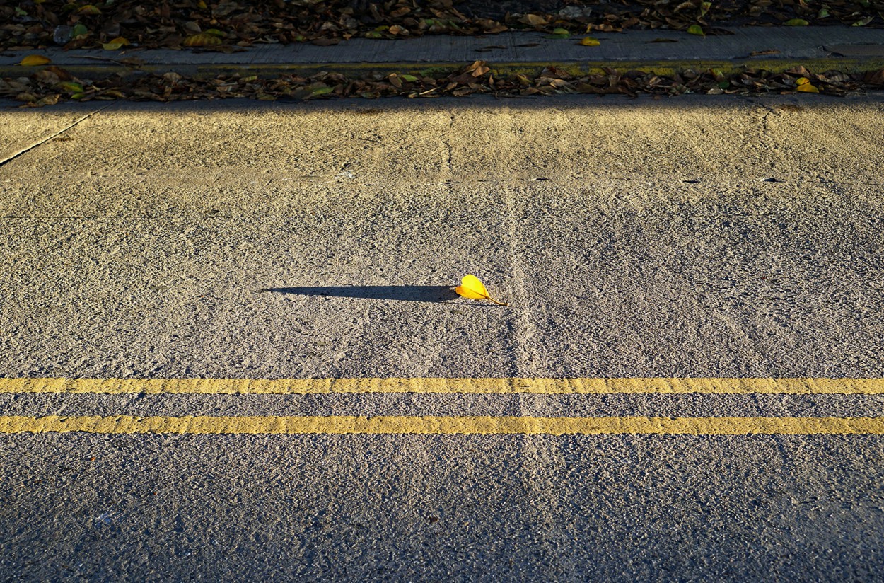 Una tarde de diciembre