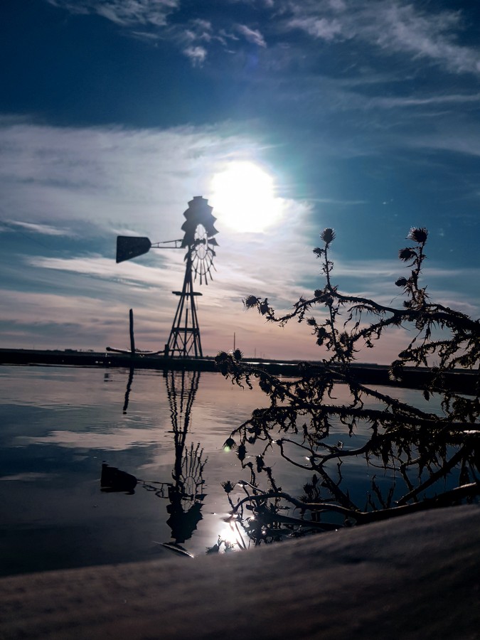 Reflejo Campestre