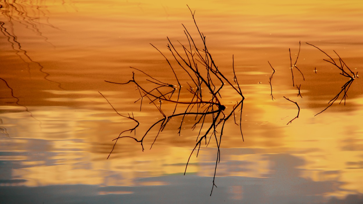 Reflejos al atardecer