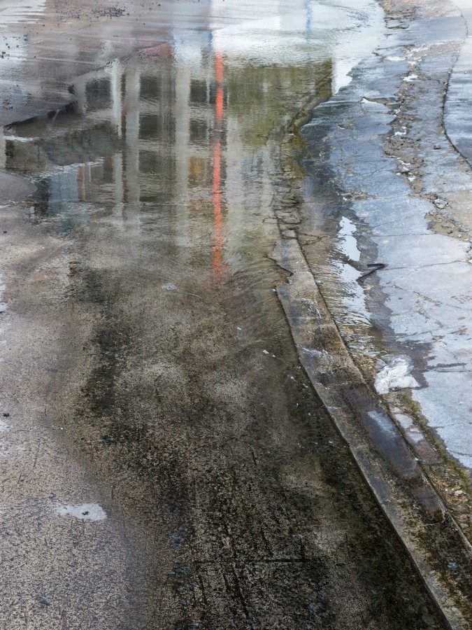 Reflejos en el charco