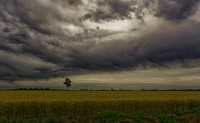 tormenta en el trigal