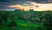 tabaco al atardecer