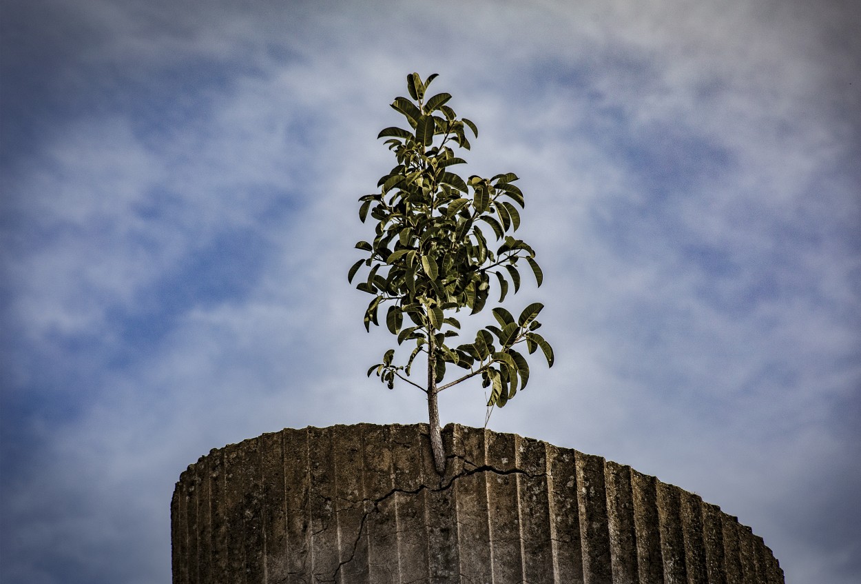 Cementerio de Recoleta