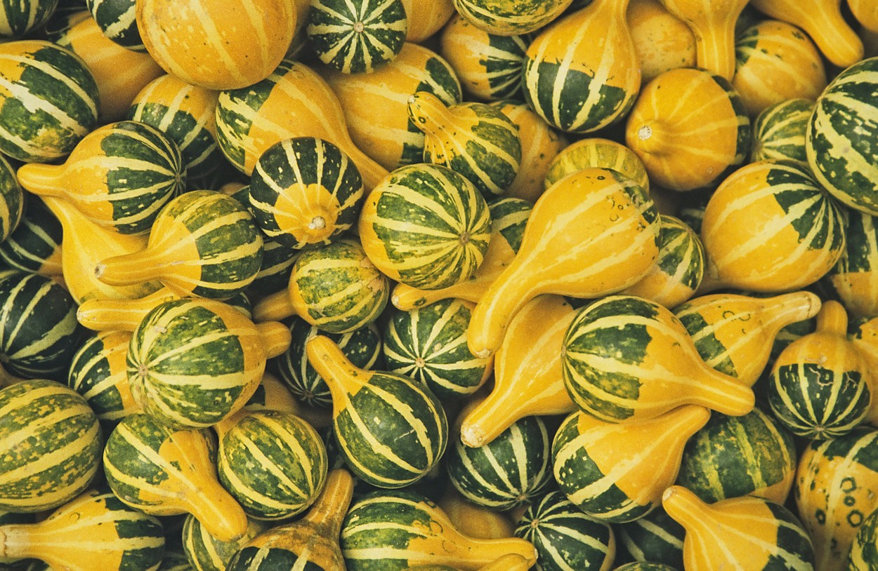 CALABAZAS