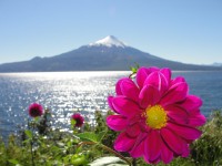 Naturaleza, Lago y Volcan