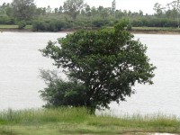 A orillas del Uruguay