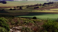 campitos del fondo