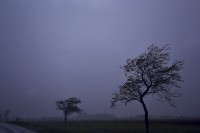 En la tormenta