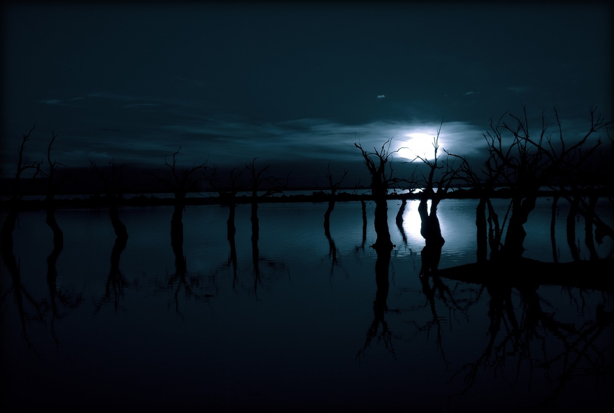 Fantasmas en la Noche