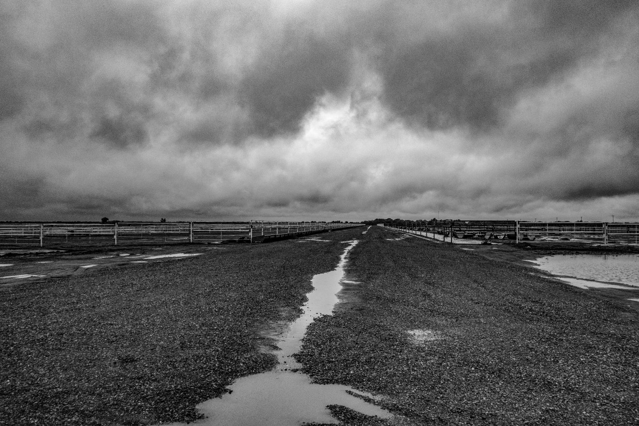 Luego de la lluvia