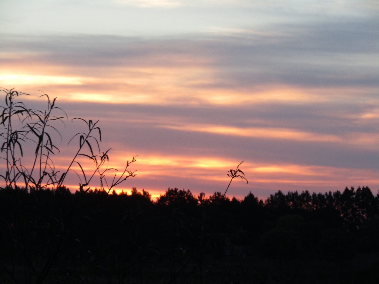 Ocaso en las quintas