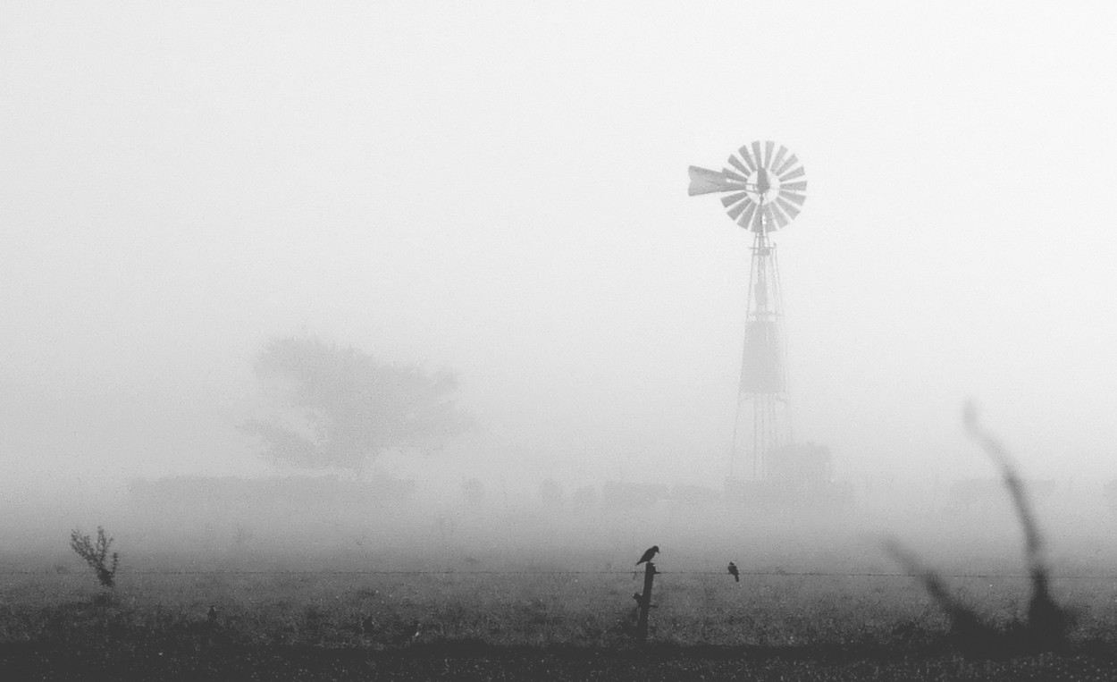 pampa y niebla de la maana