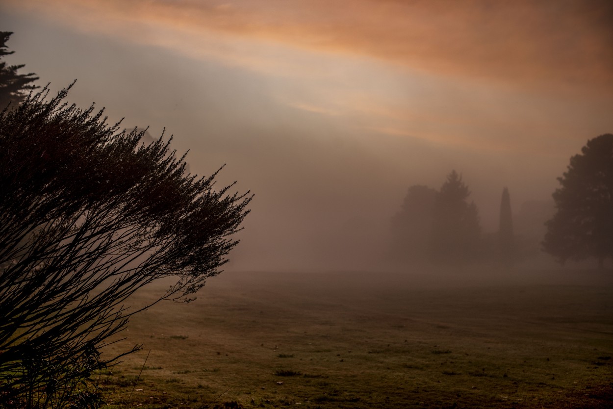 neblina roja