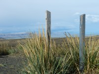 Camino a El Chalten