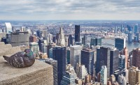 Una Paloma en el Empire State - New York