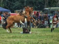 NO SIEMPRE GANA EL GAUCHO