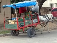 verdulero ambulante