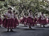 Festejos de la Virgen