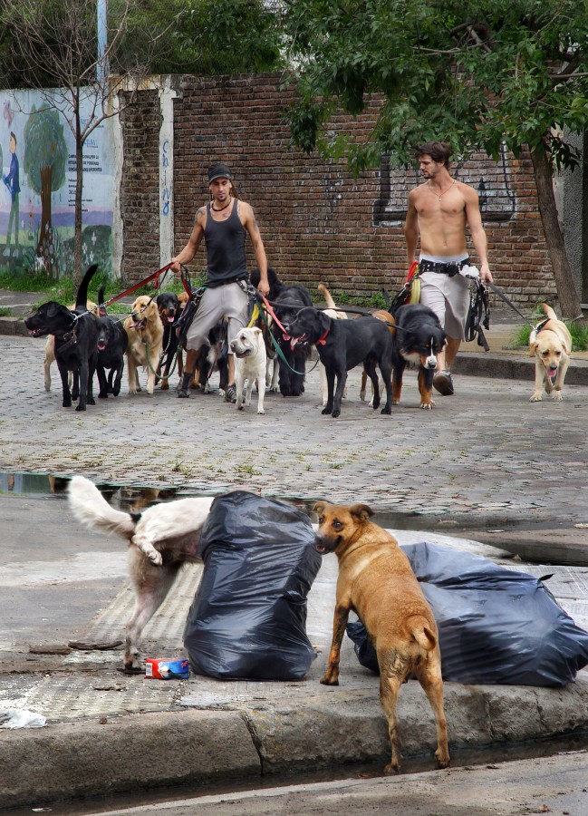 Diferencias sociales