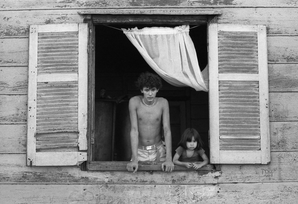 LA VIDA DESDE UNA VENTANA