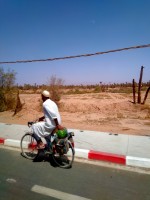 Fruta en el Sahara