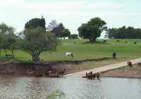 CONVIVENCIA en el Rio