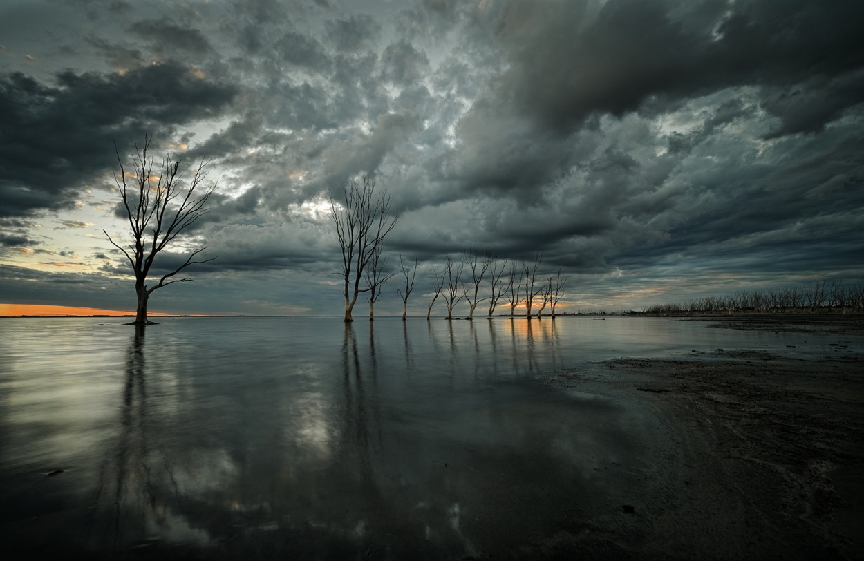 Paisaje en gris