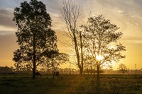 Atardecer en Los Chalecos, Gral. Las Heras