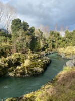 Llegando a Lago Ranco