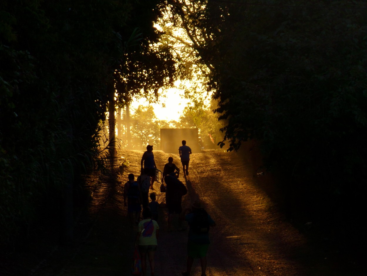 Caminando hacia la luz