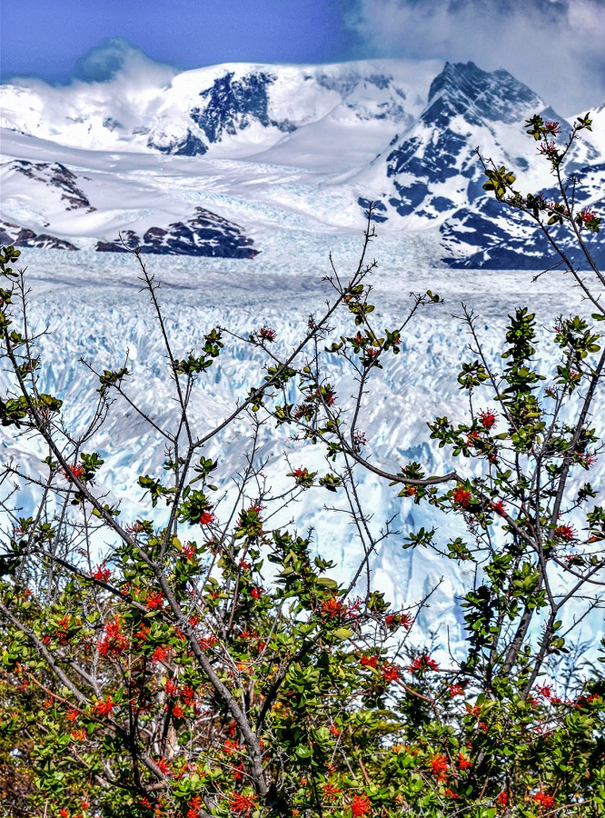 GLACIAR