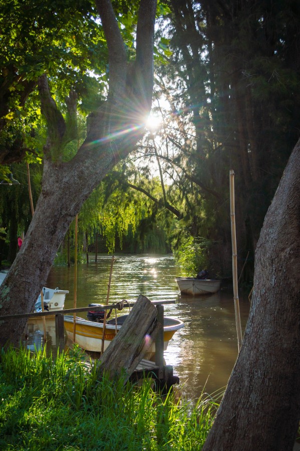 Paz en el Delta