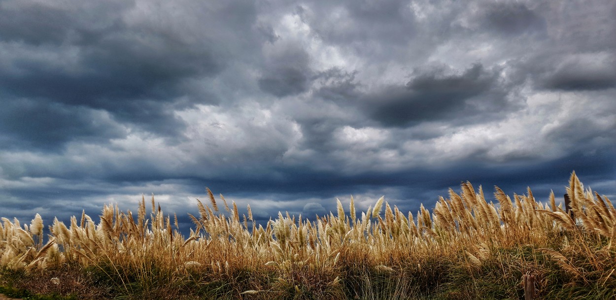 Tormentas con colas