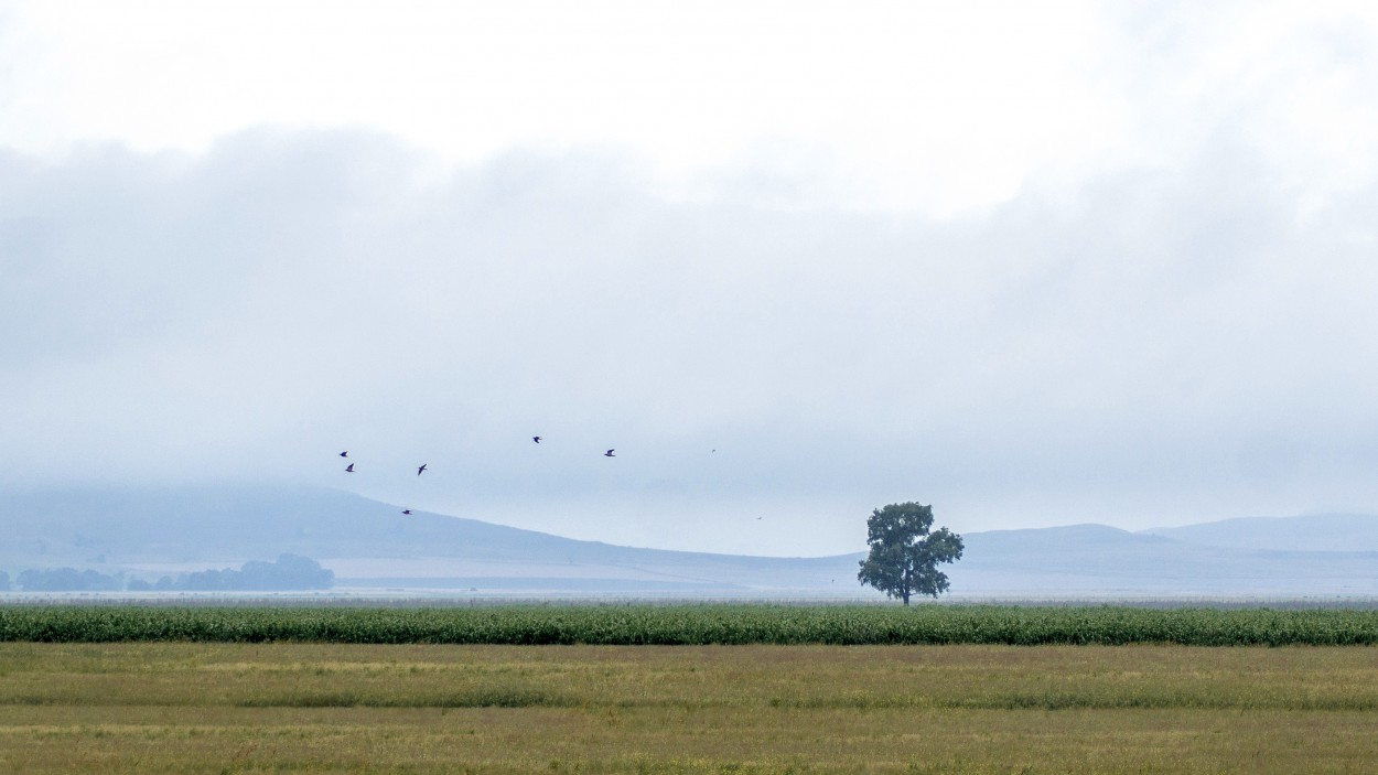 Volando solo dentro de mi