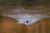 Cruzando el Rio