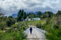 Paisaje Patagnico