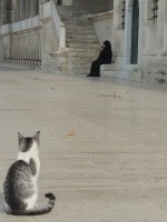 En la puerta de la Mezquita