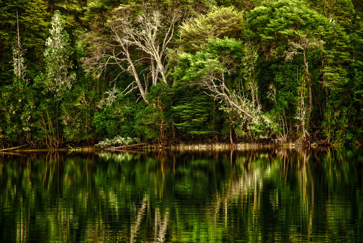 Maravilla de la naturaleza