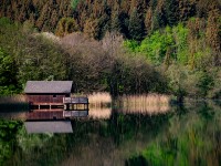 Paz entre la naturaleza