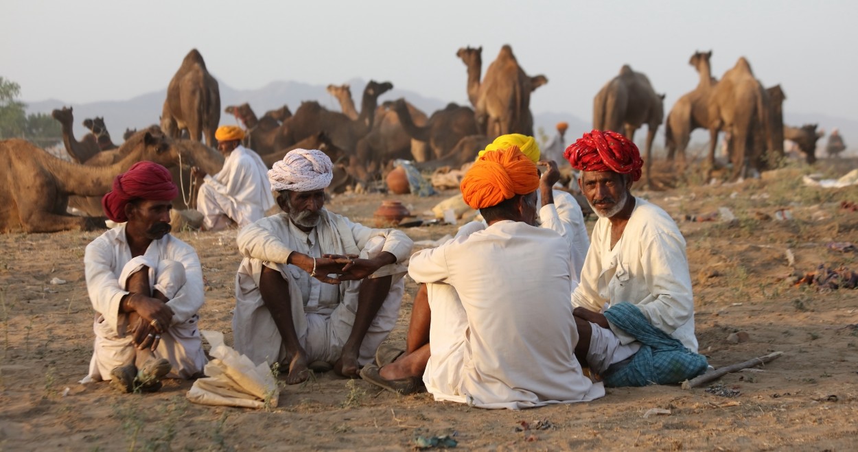 Feria de camello. Pushkar, Rajastn, India.