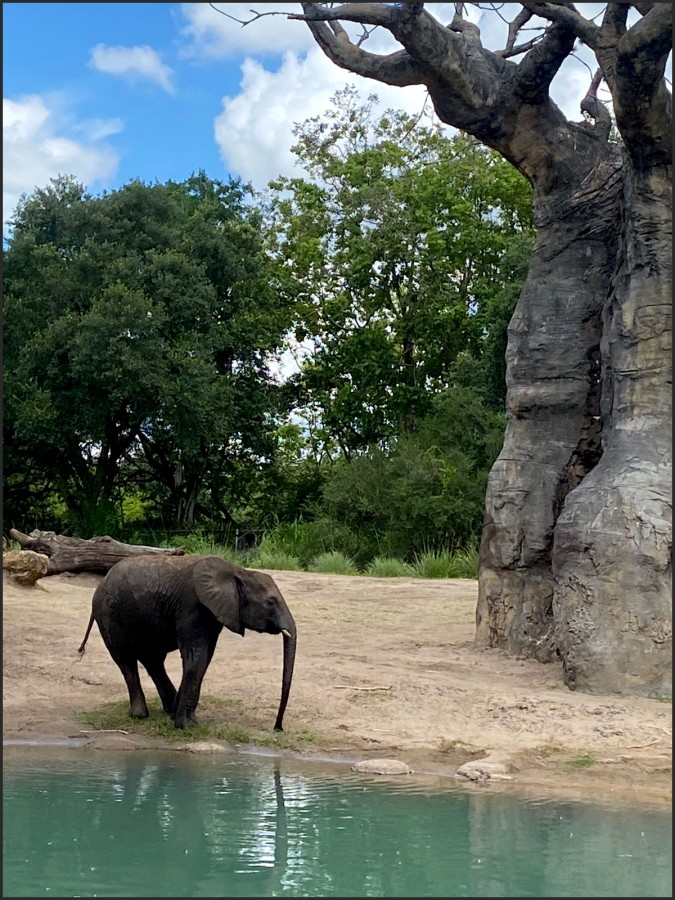 Hora de refrescarse...