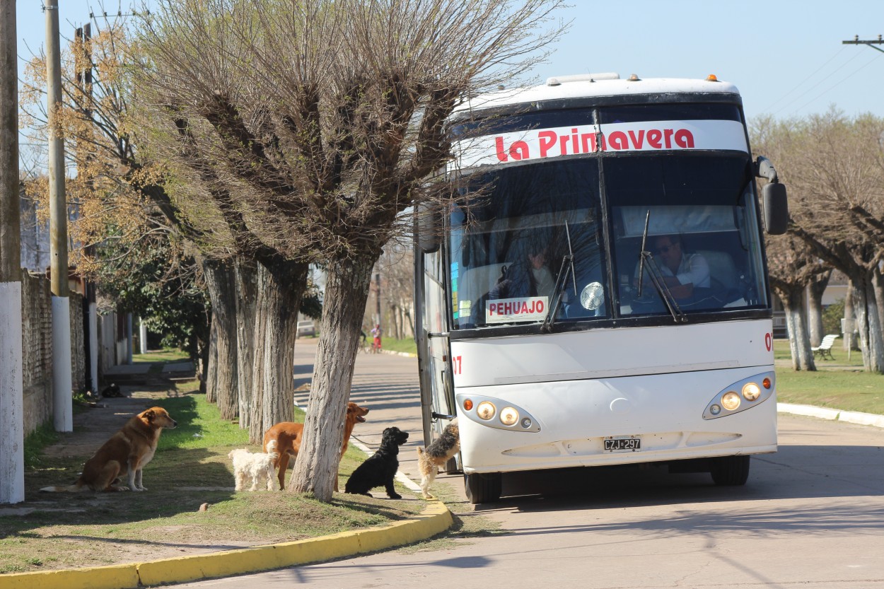 Nos vamos de paseo