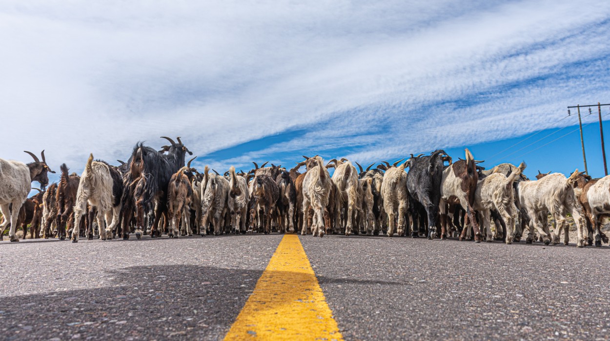 En la Ruta